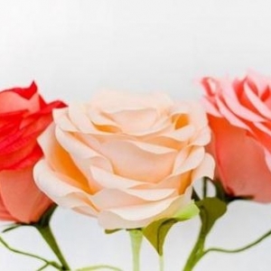 写真必备装饰花纸玫瑰制作教程