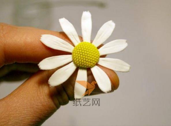 用白胶将花蕊粘到花朵中间，就是一朵单重花瓣的小雏菊了
