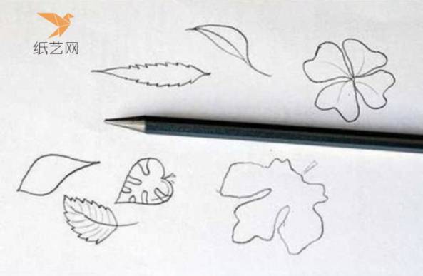 在纸上画下想要的花叶团
