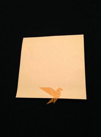 准备的是一张正方形的纸张来制作折纸小鸟