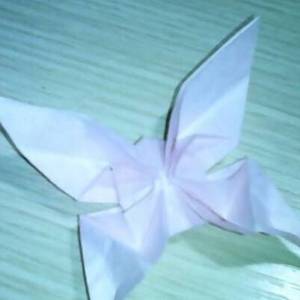 简单折纸立体凤尾蝶图解教程