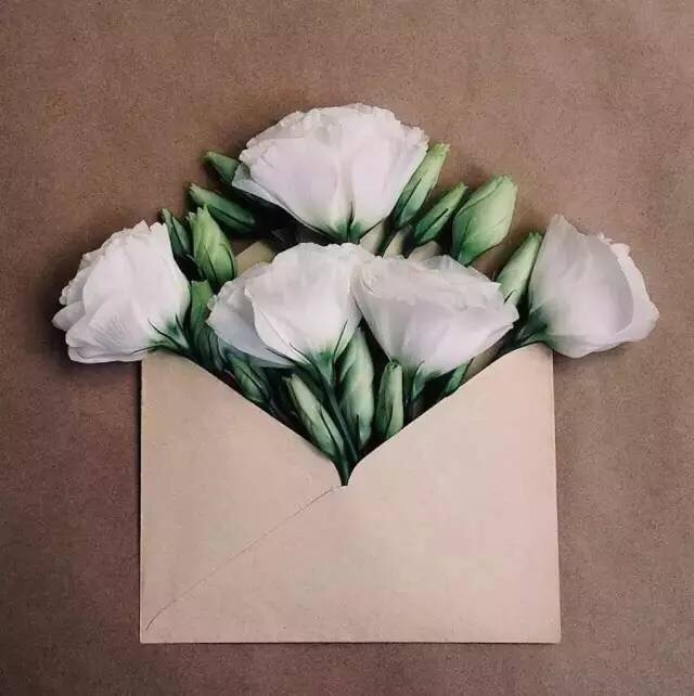 简单一张纸和几朵鲜花制作最美情人节礼物！