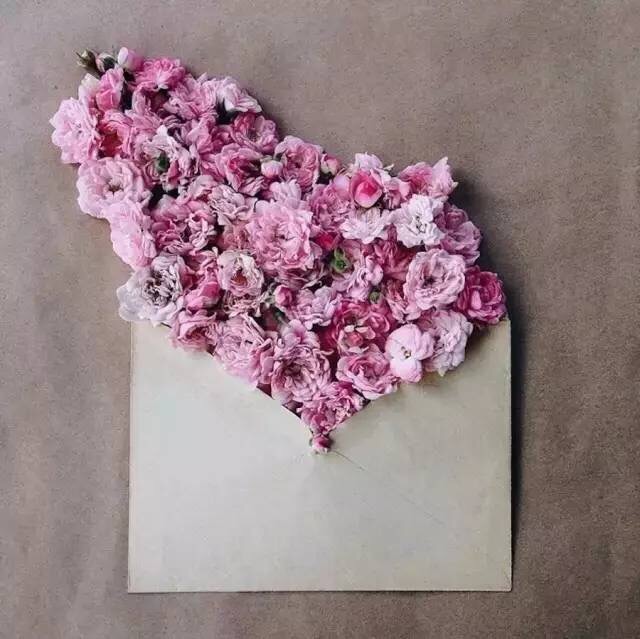 一张纸和几朵花给你最美的情书