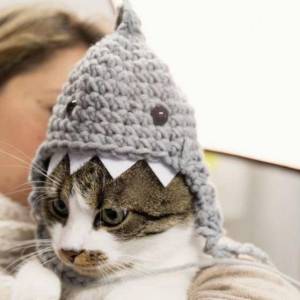 儿童节礼物钩针编织的小鲨鱼猫猫帽子教程