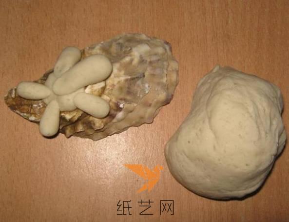 用粘土先在牡蛎壳上面做好海龟的四肢和头部