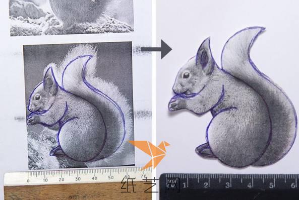 如果大家对画松鼠没有信心的话，那就可以这样来先找到一个松鼠的照片，然后画出轮廓，剪下来