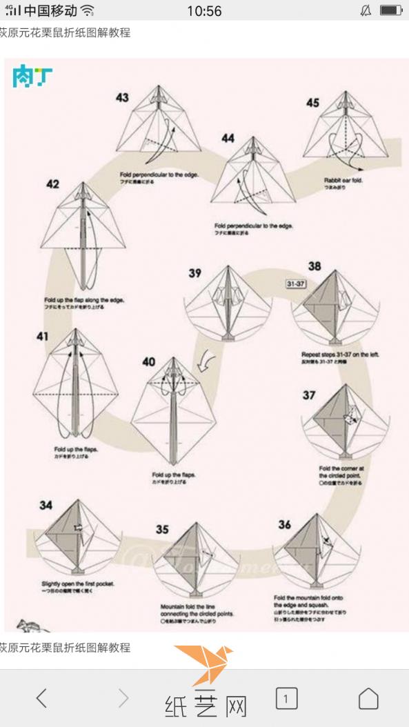 折纸花栗鼠教程