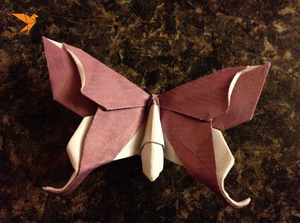 学折纸蝴蝶的制作