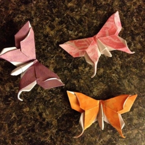 学折纸蝴蝶的制作