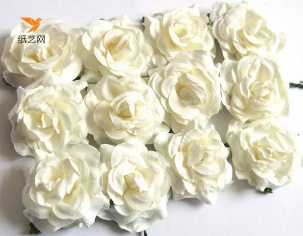 白色纸玫瑰花的精彩