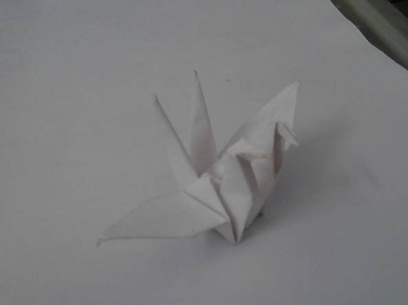 纸鹤-比翼鸟