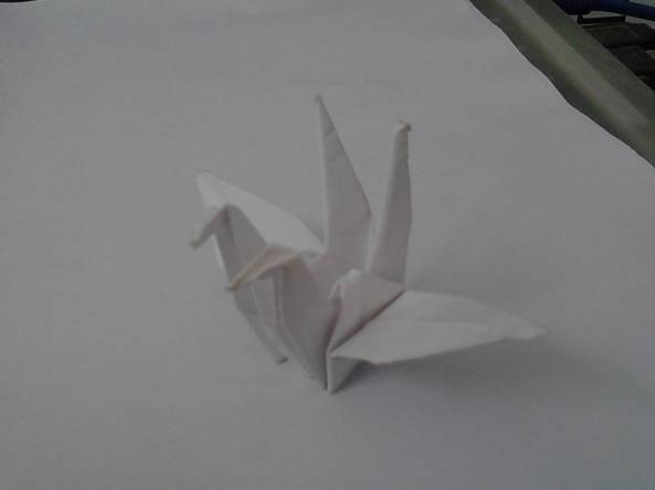 纸鹤-比翼鸟