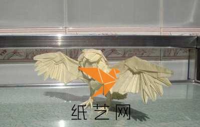 折纸猫头鹰展翅