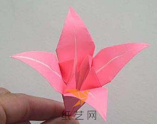 粉色的折纸百合花