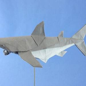 凶猛的海洋生物鲨鱼折纸版