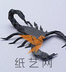 折纸蝎子