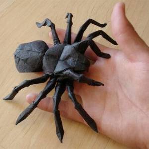 超有智慧的爬虫---折纸蜘蛛