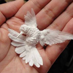 纸雕作品蜂鸟掬在手心里的可爱小鸟