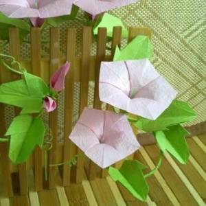 简单美丽的折纸牵牛花---盛开的小喇叭