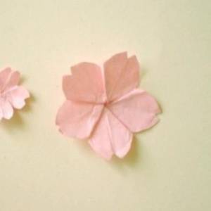纸艺纸樱花的折法