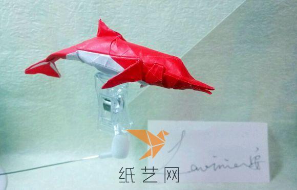 温和可亲的折纸海豚