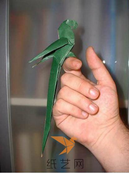 折纸鹦鹉