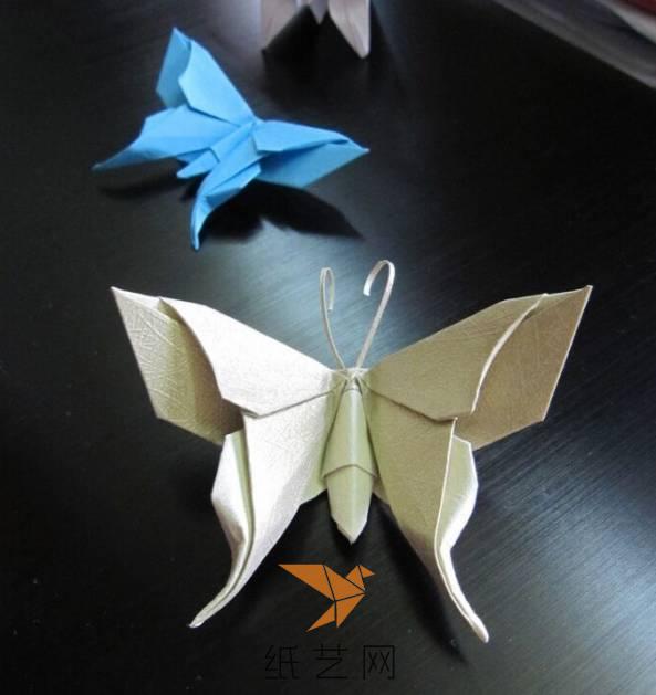 简单折纸蝴蝶