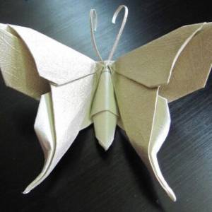 励志努力，幻化美丽---简单折纸蝴蝶