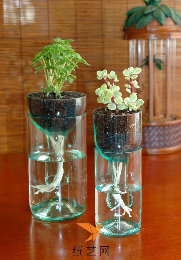 玻璃瓶变身创意花盆