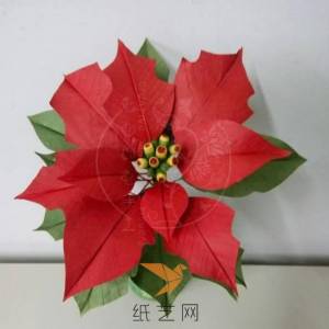 【圣诞活动】纸艺圣诞红