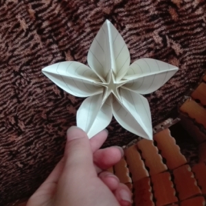 折纸杨桃花