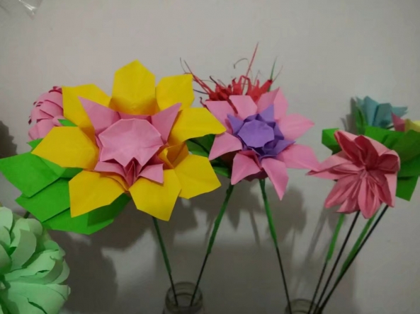 野菊花，垂盆菊